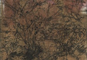 Shrub