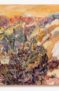 One landscape for another