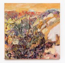 One landscape for another
